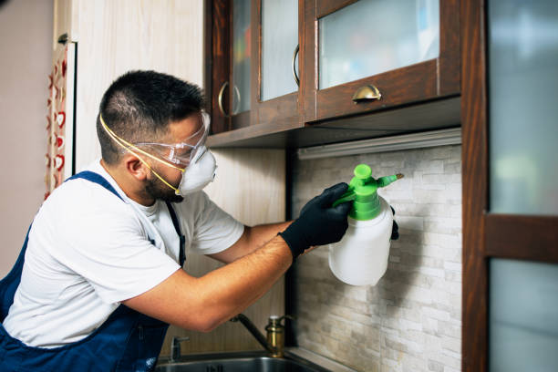 Best Insect Control  in Greenville, RI