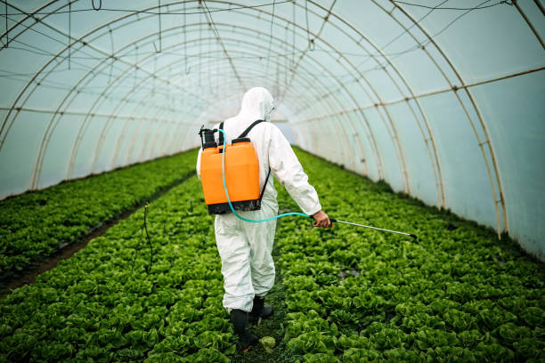 Best Local Pest Control Services  in Greenville, RI
