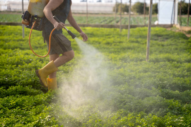 Best Pest Control Cost  in Greenville, RI