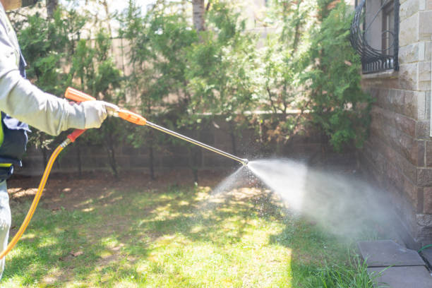 Best Mosquito Control Services  in Greenville, RI