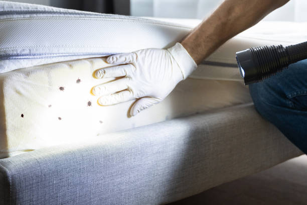 Best Pest Removal Services  in Greenville, RI