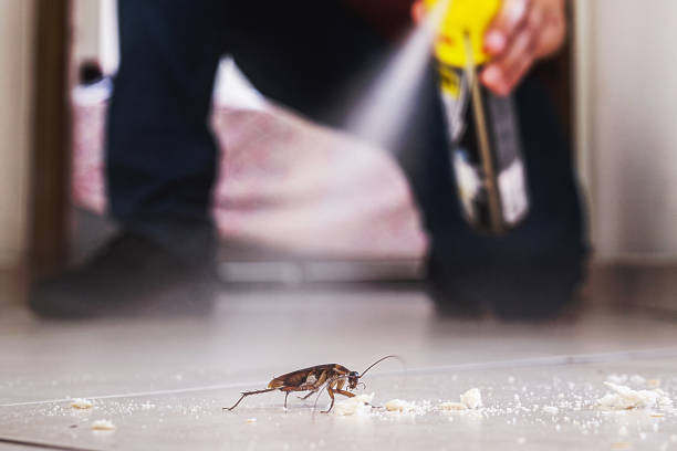 Best Residential Pest Control  in Greenville, RI